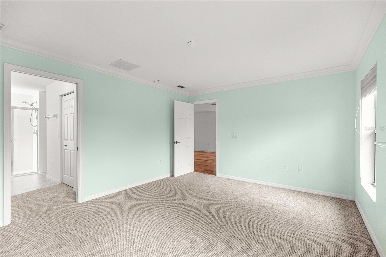 9119 SW 99TH COURT RD, OCALA, FL, 34481