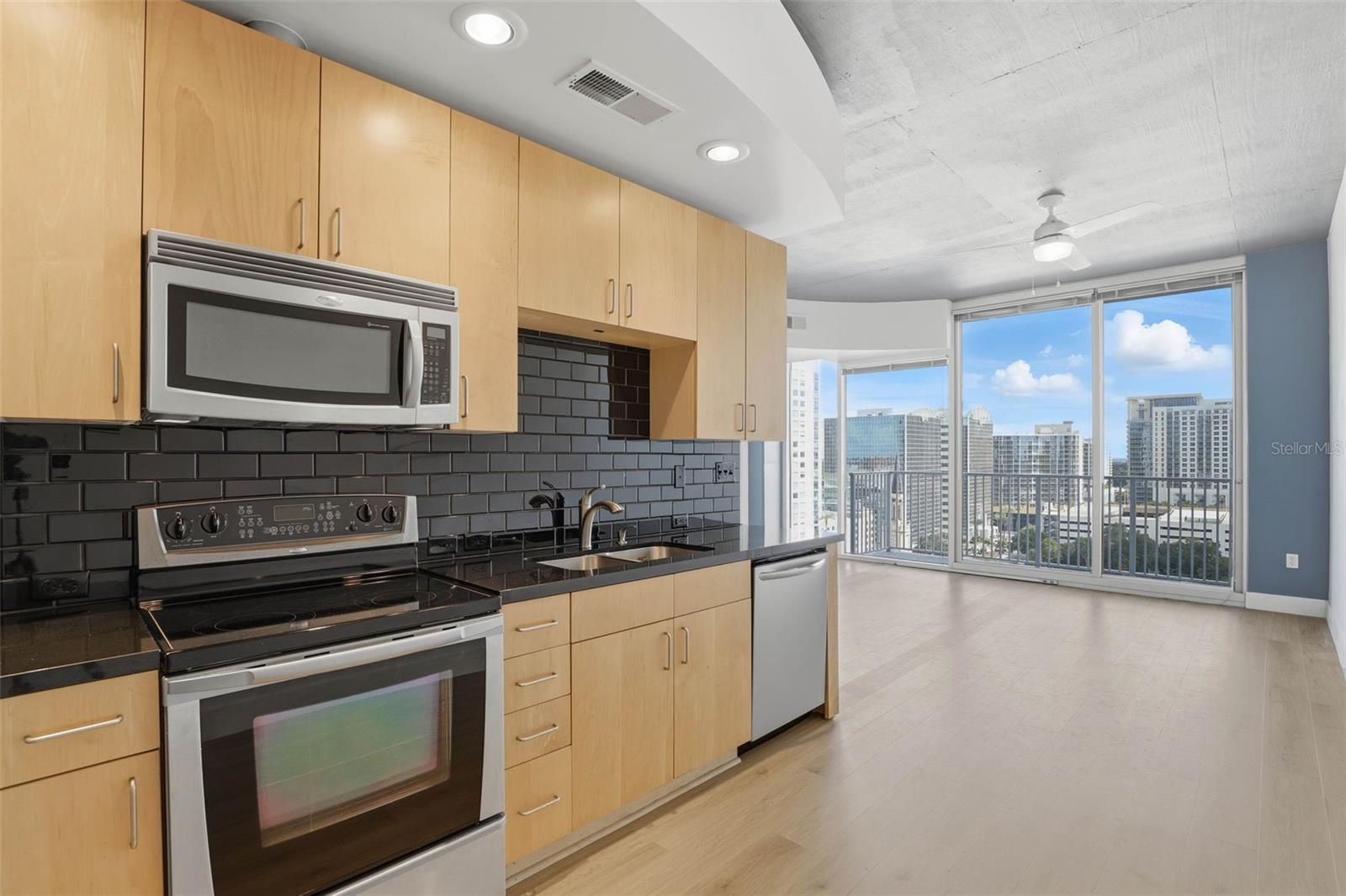 155 S COURT AVE #1103, ORLANDO, FL, 32801