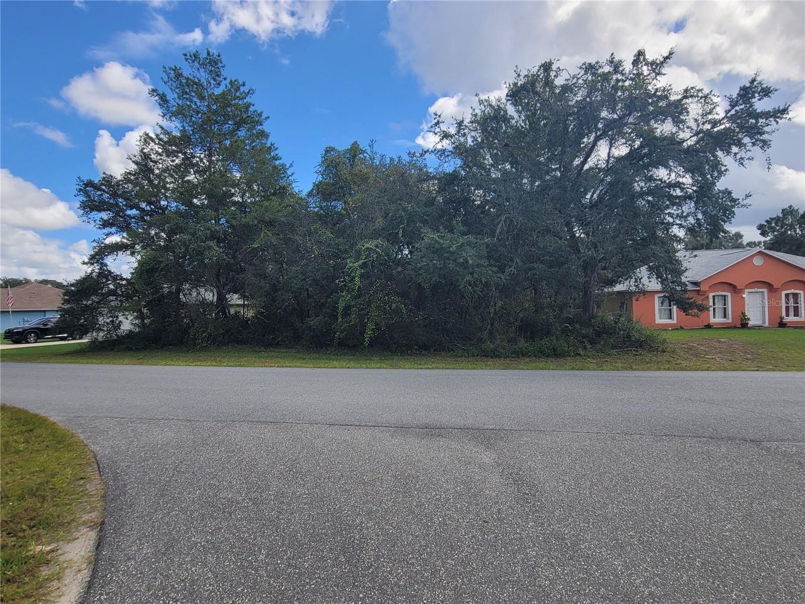 SW 133RD LOOP, OCALA, FL, 34473
