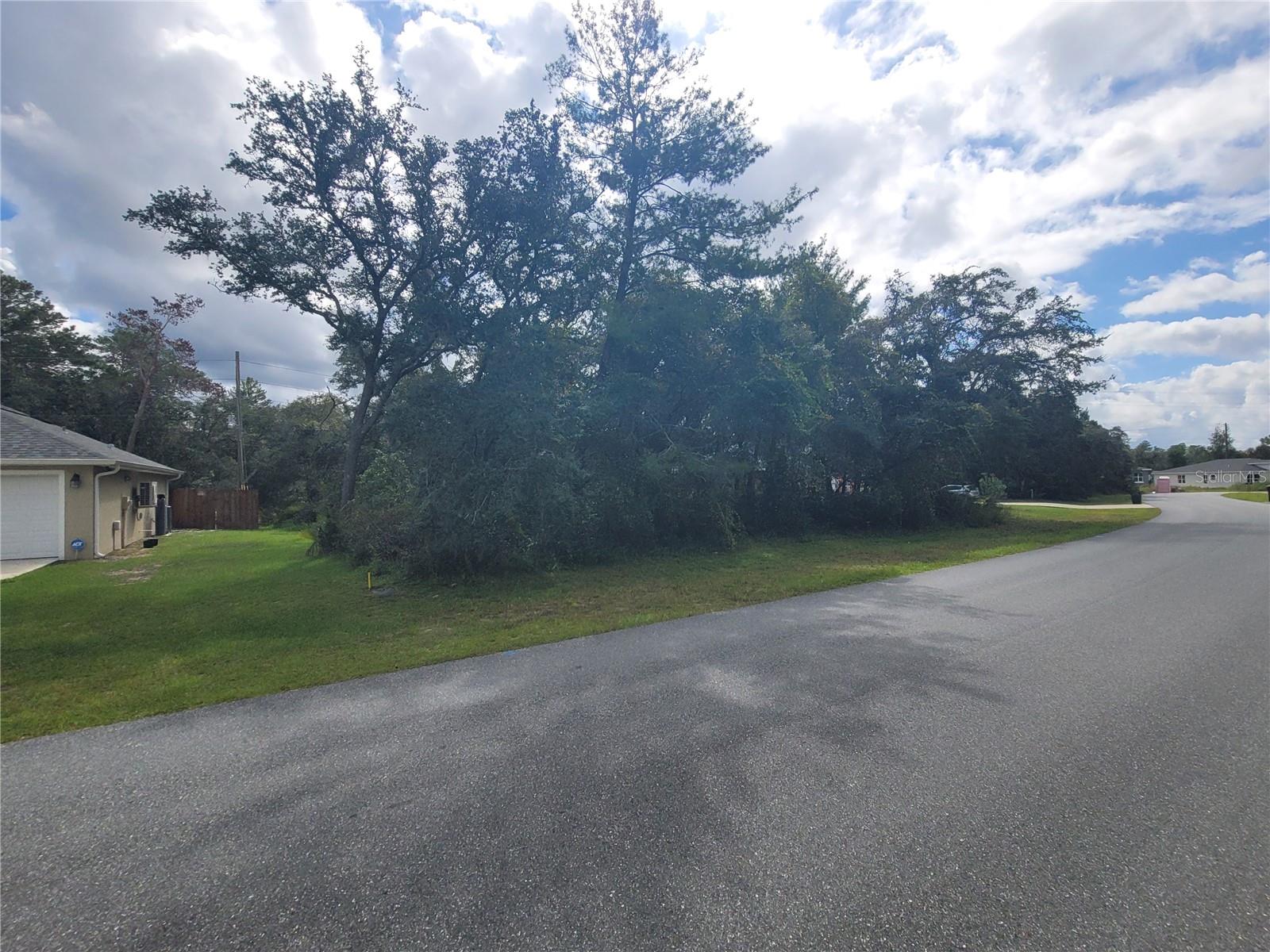 SW 133RD LOOP, OCALA, FL, 34473