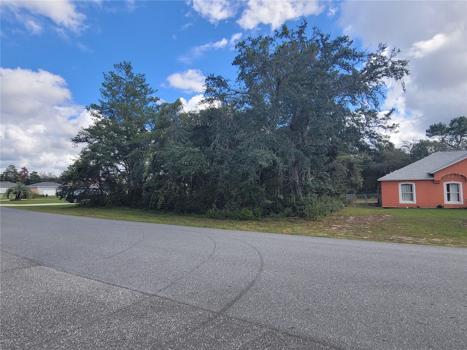 SW 133RD LOOP, OCALA, FL, 34473