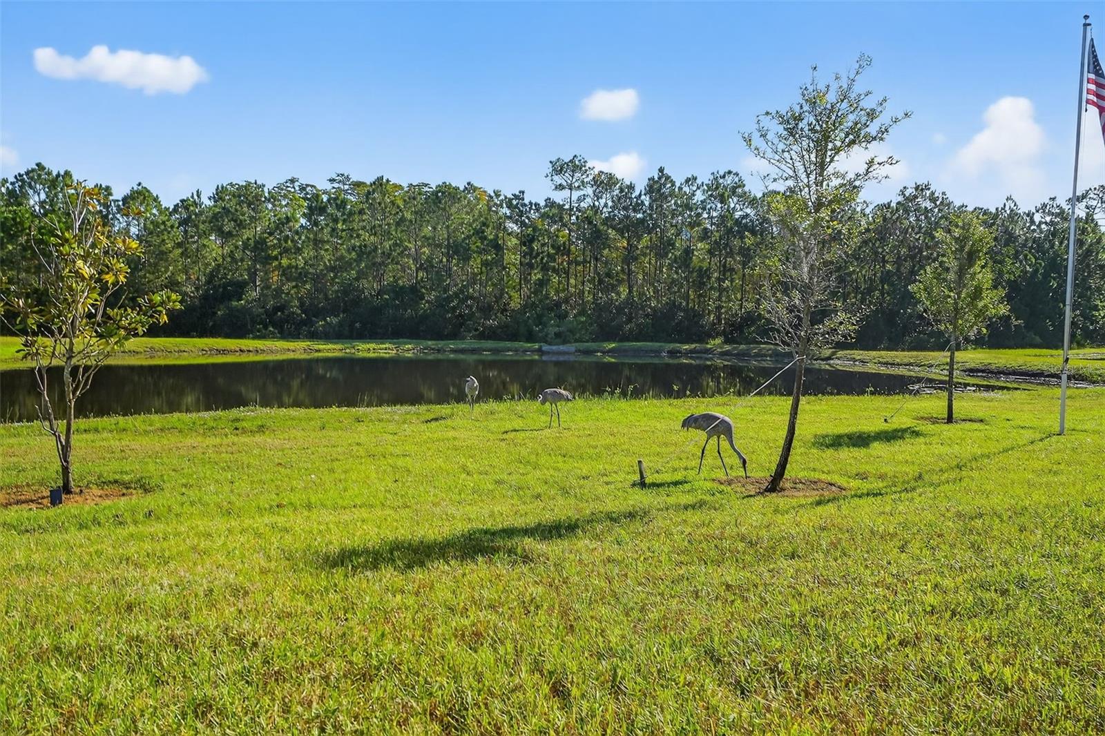 23 FAWN HAVEN TRL, ORMOND BEACH, FL, 32174