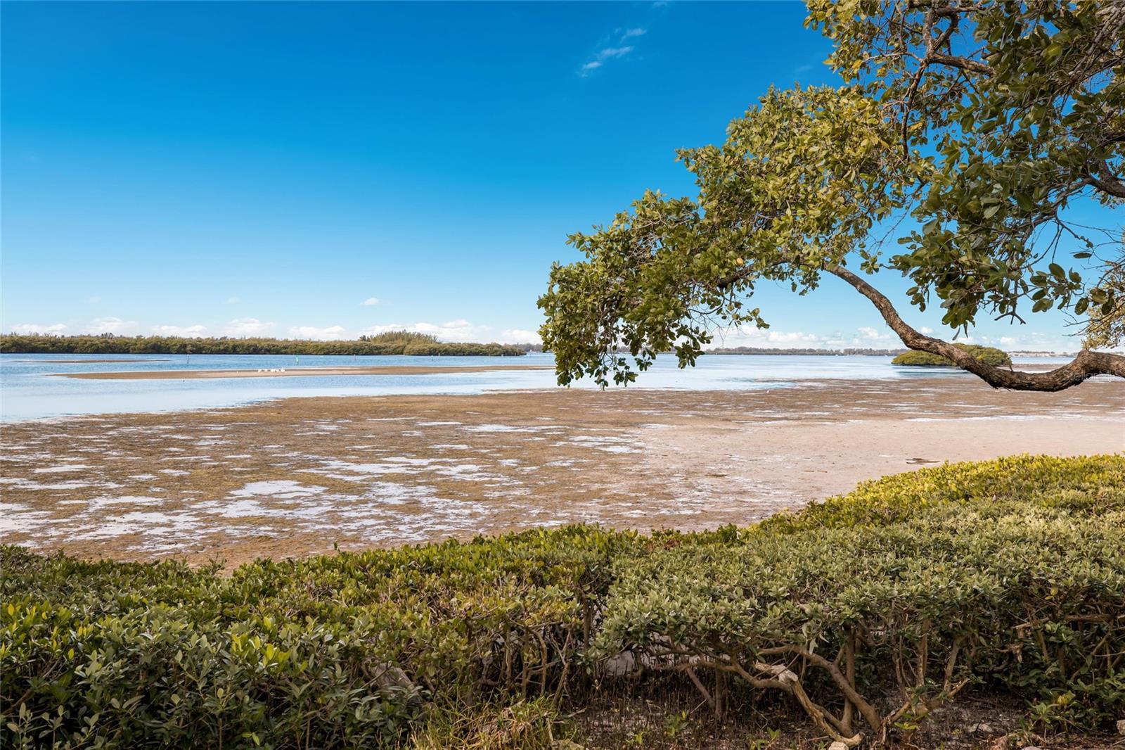 4761 INDEPENDENCE DR #4761, BRADENTON, FL, 34210