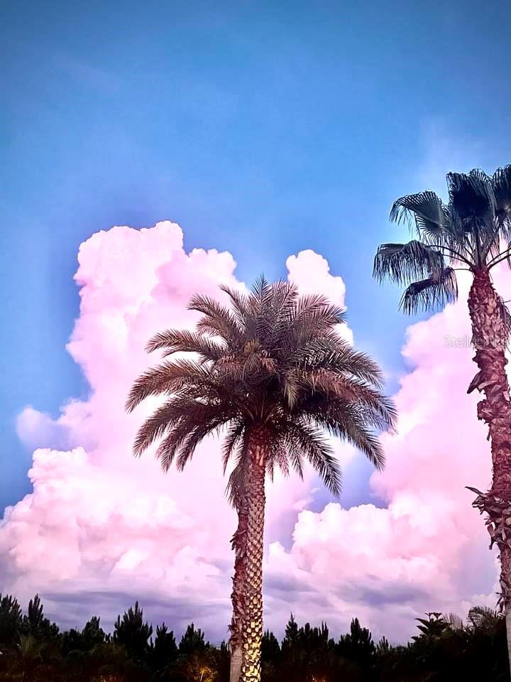 540 GARY PLAYER DR, DAVENPORT, FL, 33837