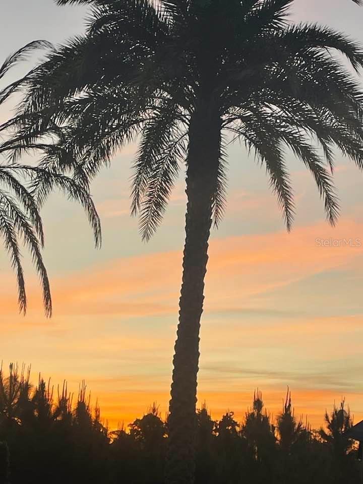 540 GARY PLAYER DR, DAVENPORT, FL, 33837