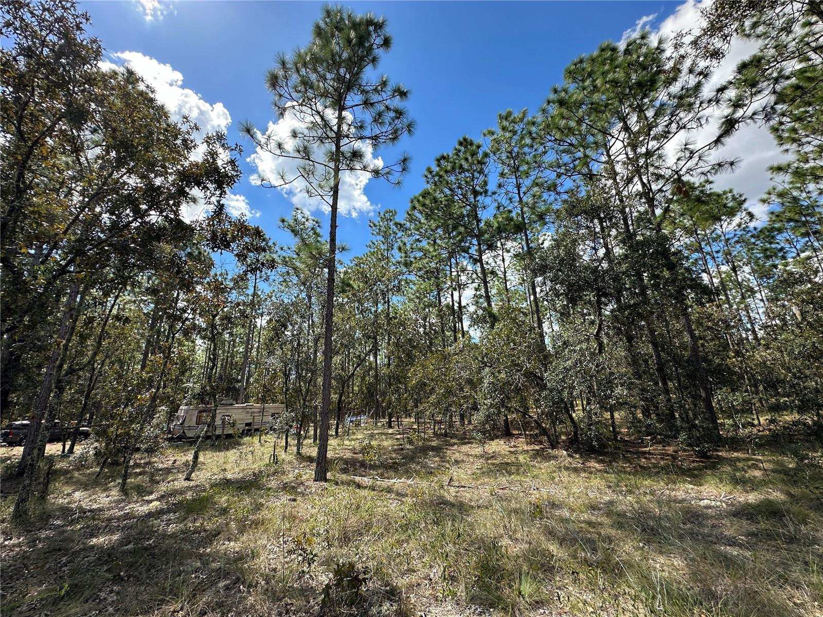 TBD SE 134TH CT, DUNNELLON, FL, 34431