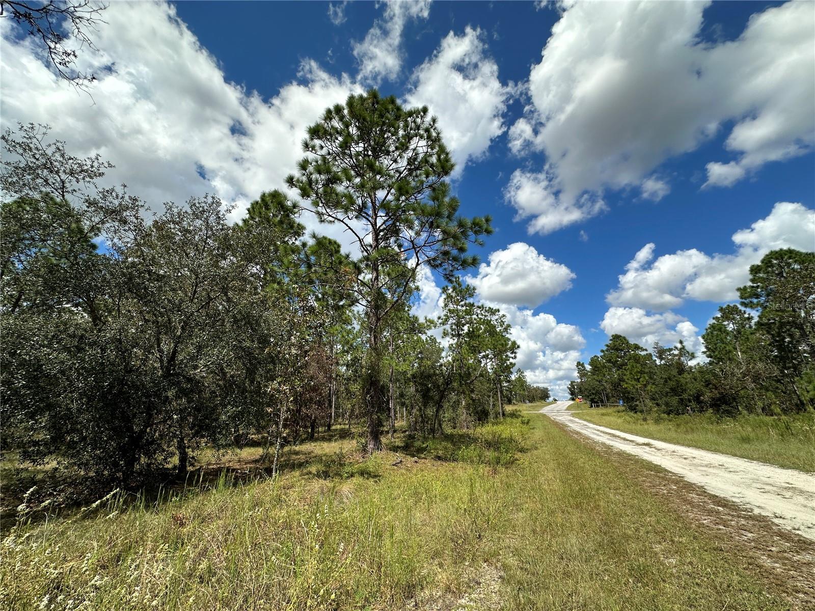 TBD SE 134TH CT, DUNNELLON, FL, 34431