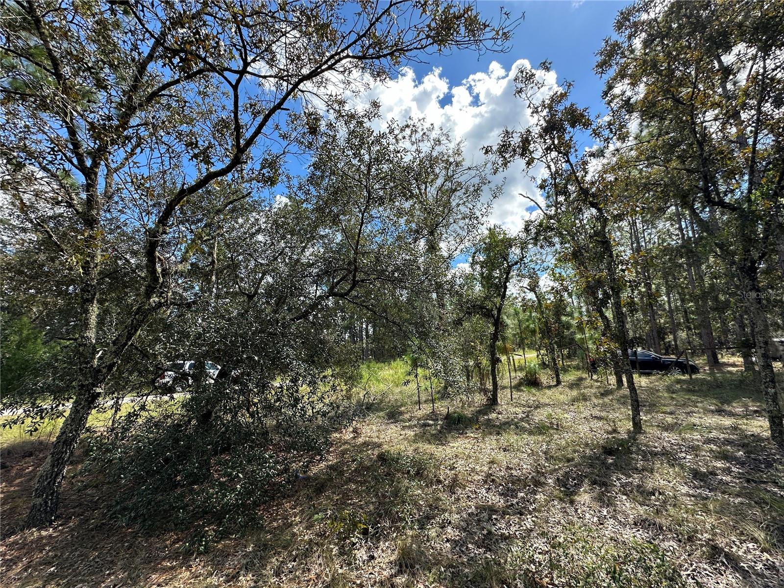 TBD SE 134TH CT, DUNNELLON, FL, 34431