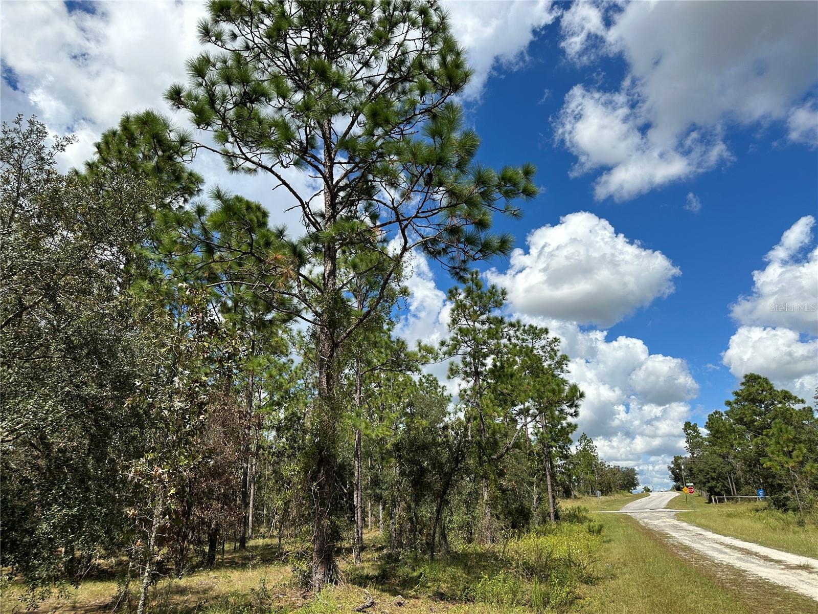 TBD SE 134TH CT, DUNNELLON, FL, 34431