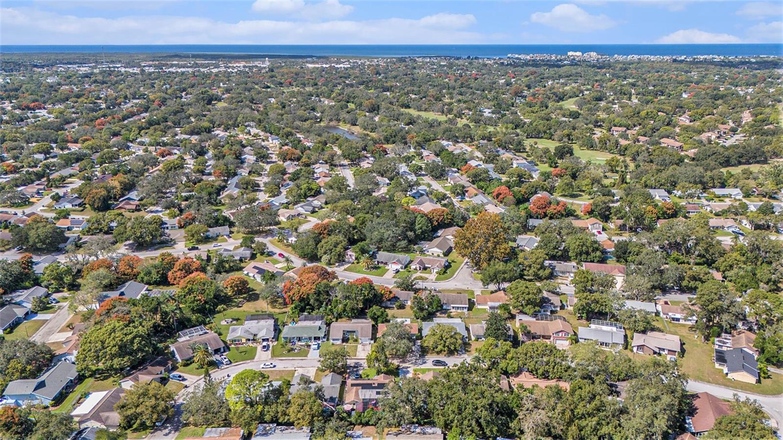 12616 STONE HOUSE LOOP, HUDSON, FL, 34667