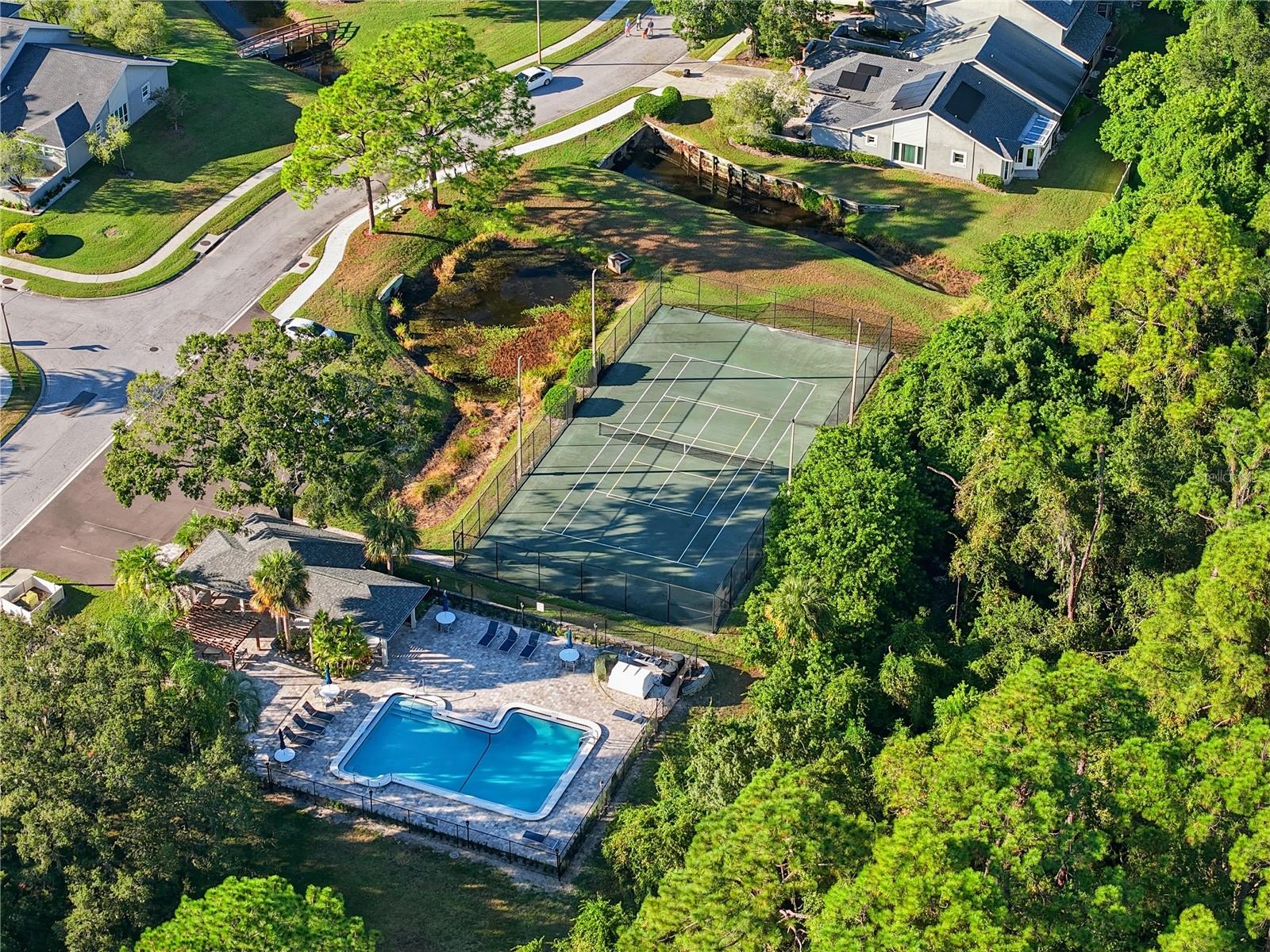 106 HUNTER CT, PALM HARBOR, FL, 34684