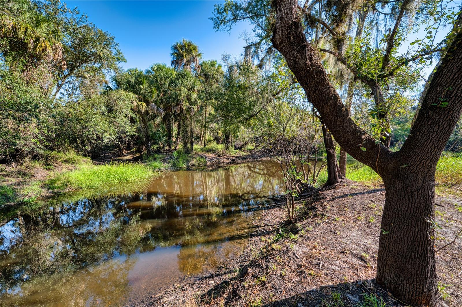 5310 JIM DAVIS RD, PARRISH, FL, 34219