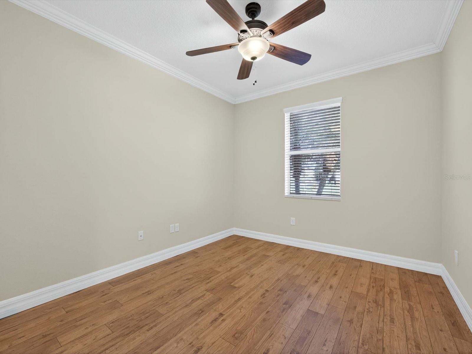 3791 SANIBEL ST, CLERMONT, FL, 34711