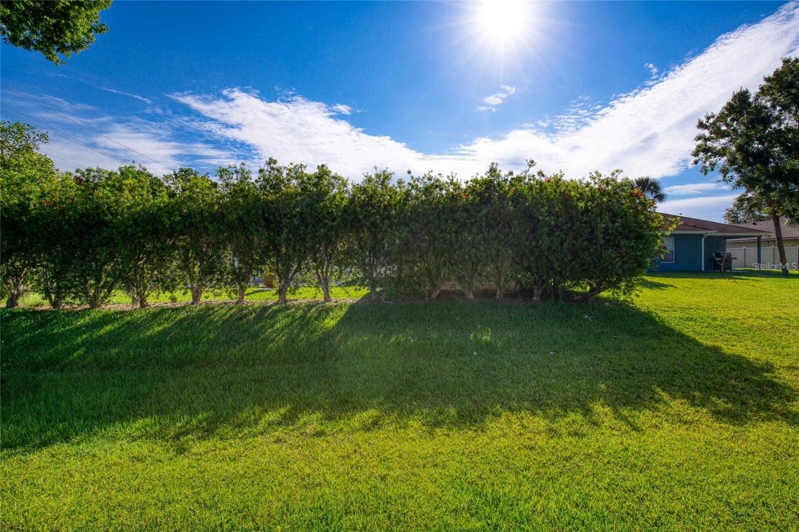 815 8TH ST, DAYTONA BEACH, FL, 32117