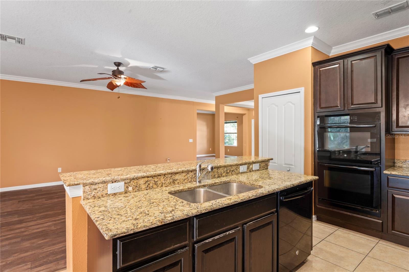 12434 FISH COVE DR, SPRING HILL, FL, 34609