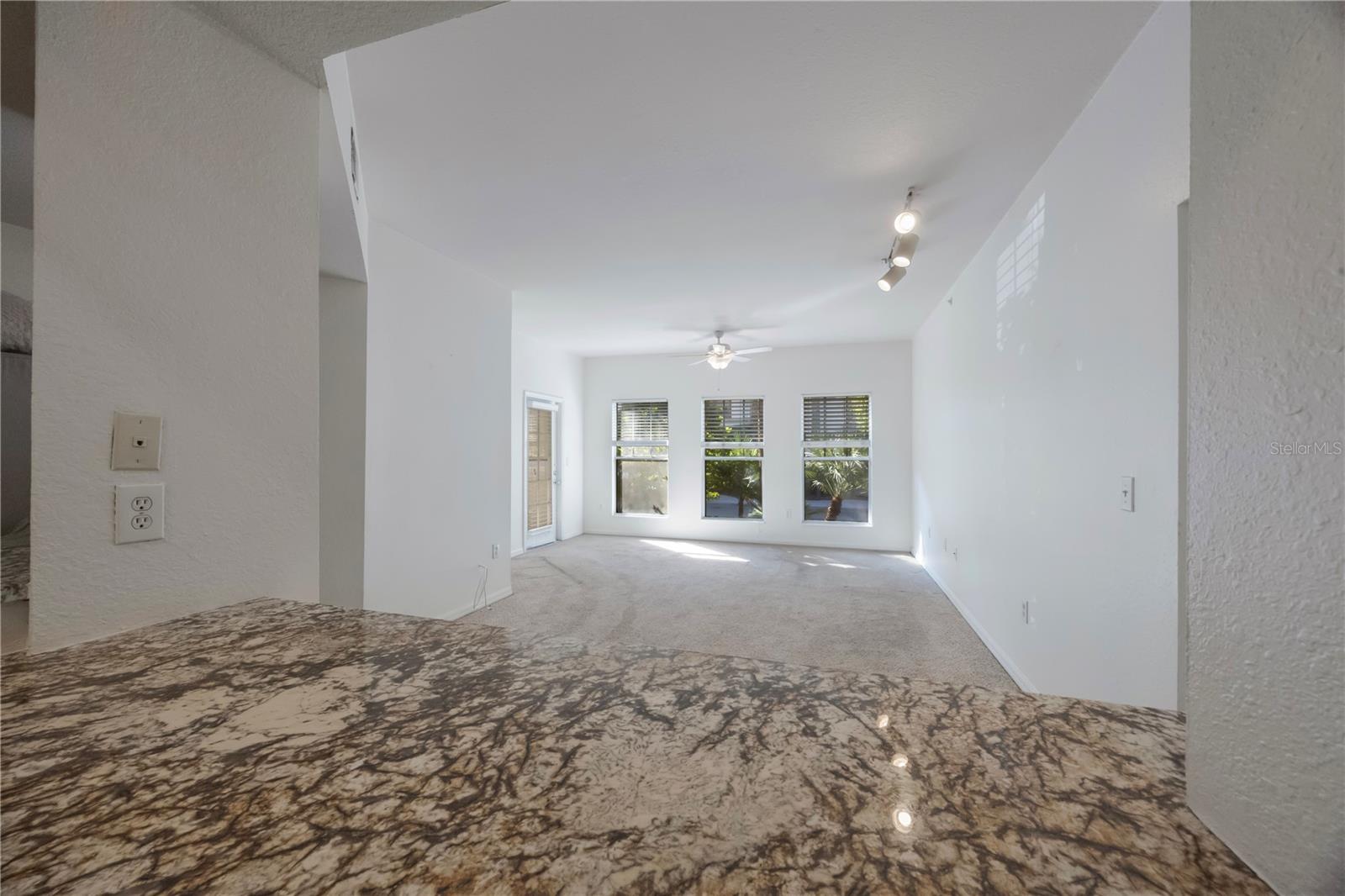 410 S ARMENIA AVE #919B, TAMPA, FL, 33609