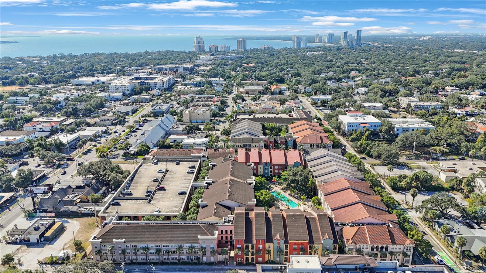 410 S ARMENIA AVE #919B, TAMPA, FL, 33609