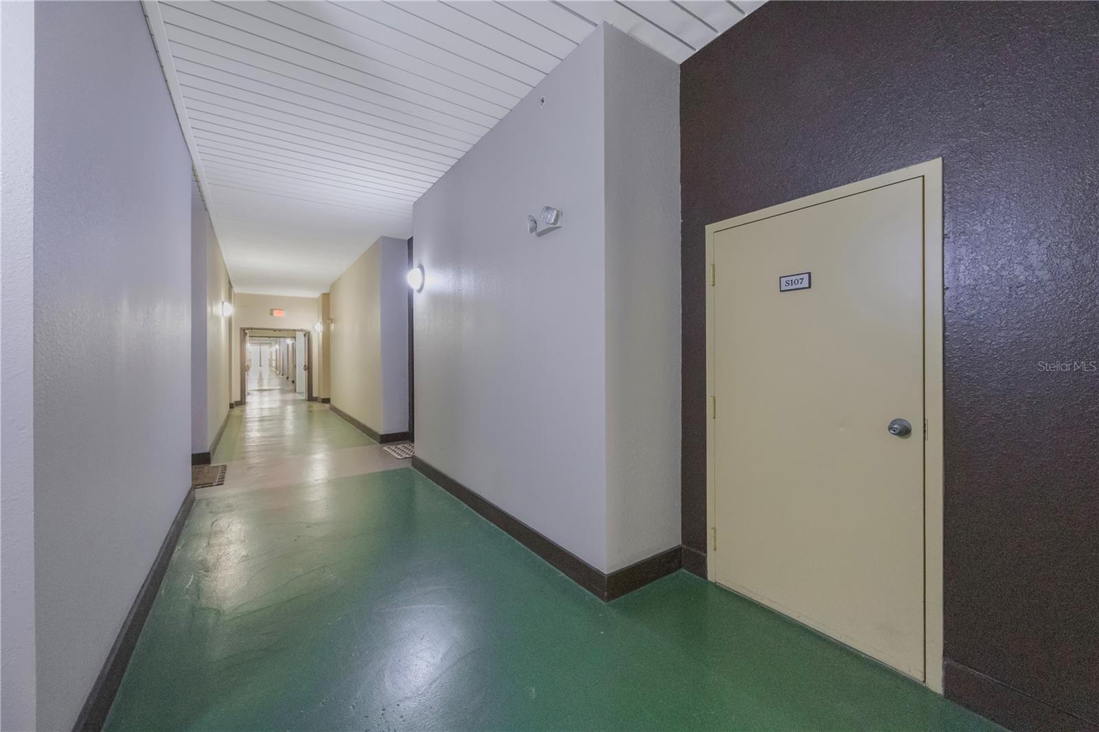 410 S ARMENIA AVE #919B, TAMPA, FL, 33609