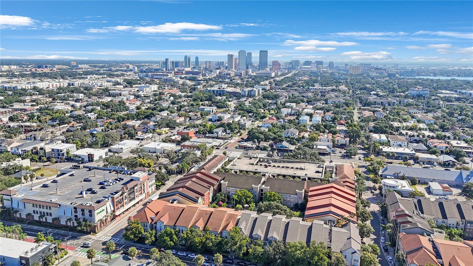 410 S ARMENIA AVE #919B, TAMPA, FL, 33609