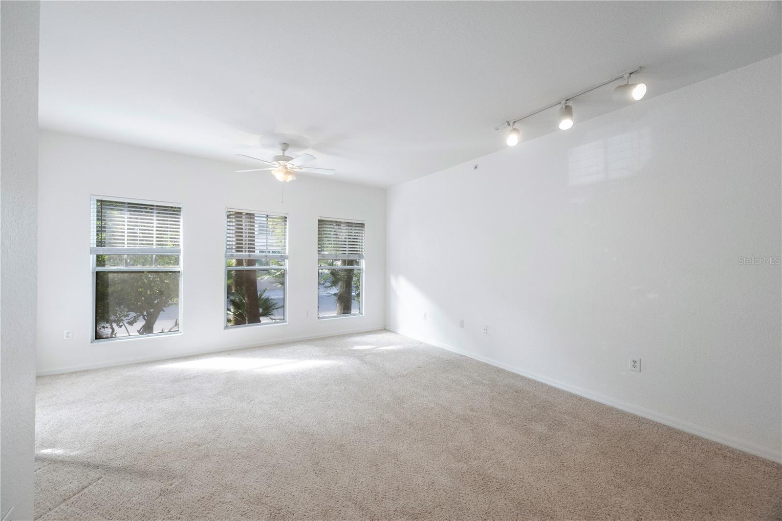 410 S ARMENIA AVE #919B, TAMPA, FL, 33609