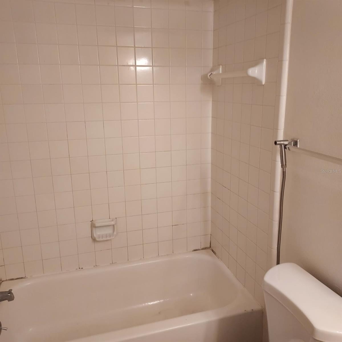 4411 SHADY TERRACE LN #105, TAMPA, FL, 33613