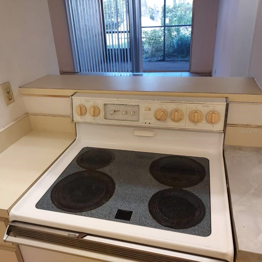 4411 SHADY TERRACE LN #105, TAMPA, FL, 33613