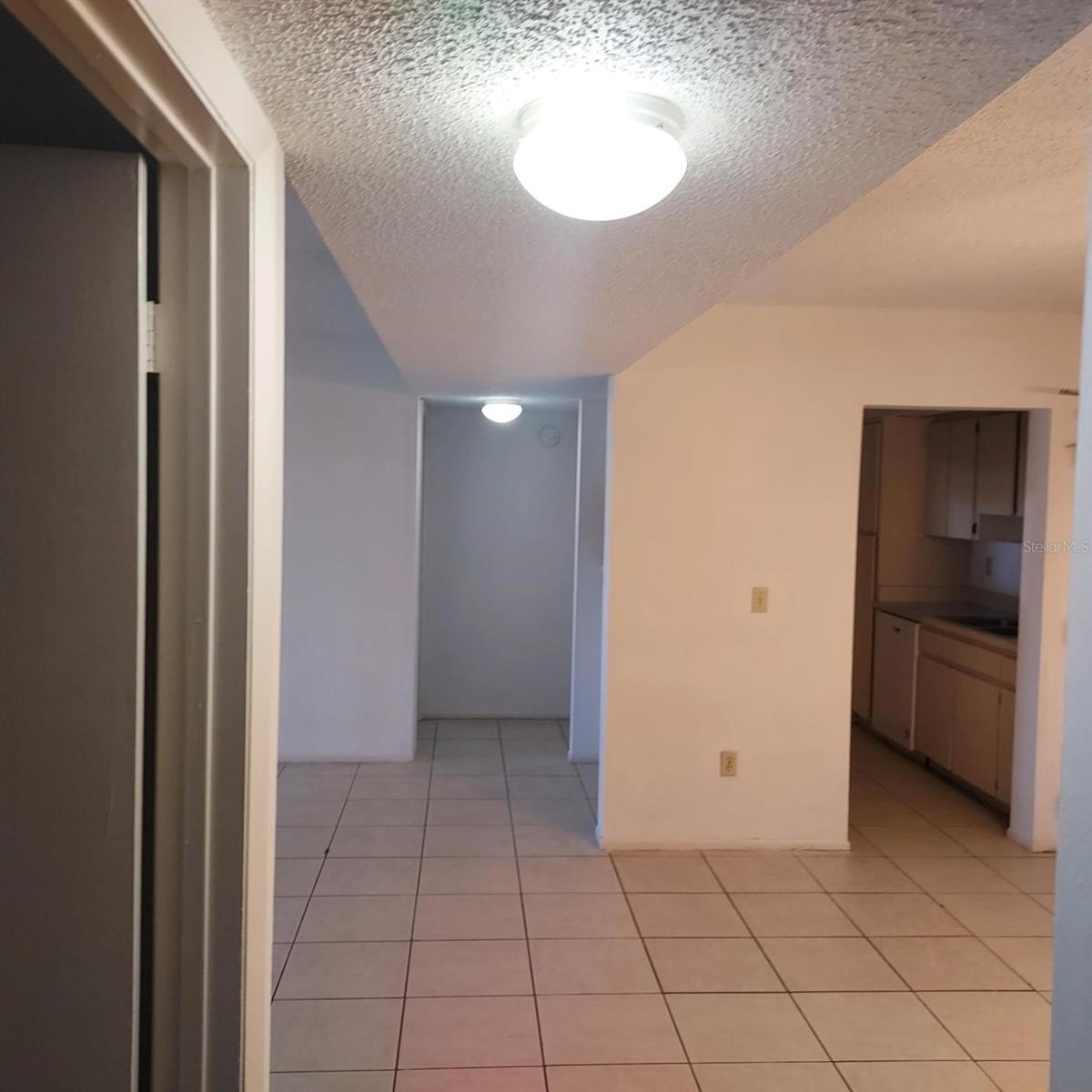 4411 SHADY TERRACE LN #105, TAMPA, FL, 33613