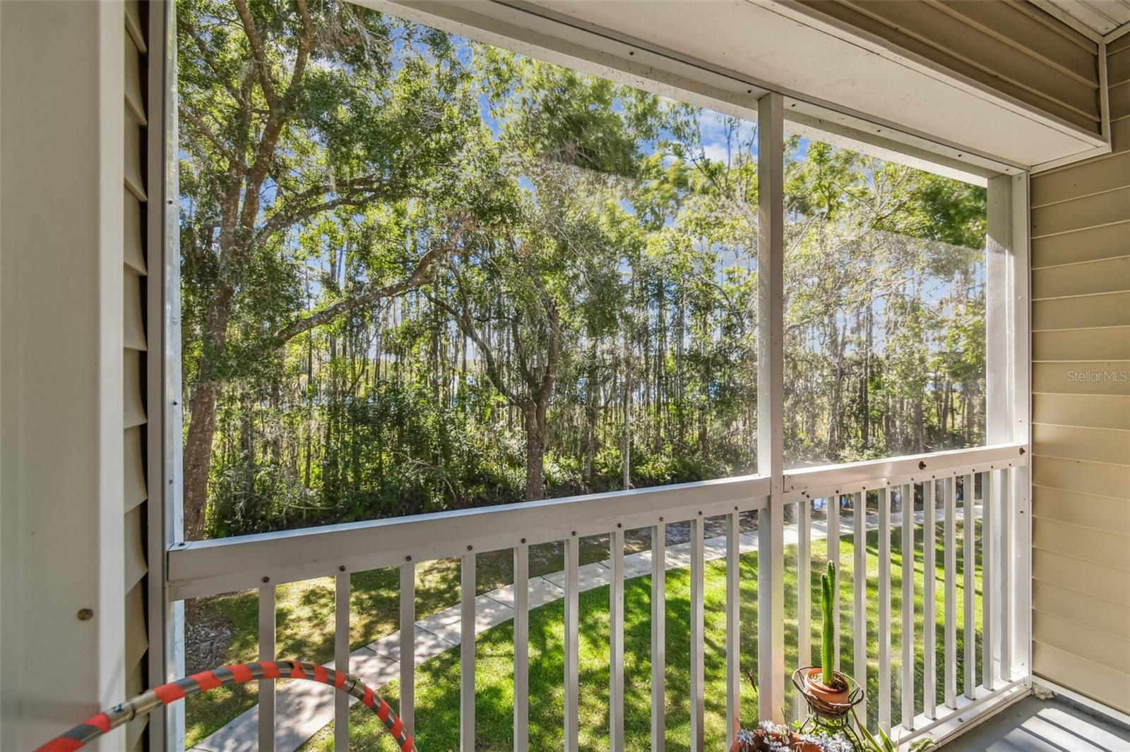 1627 HAMMOCKS AVE, LUTZ, FL, 33549