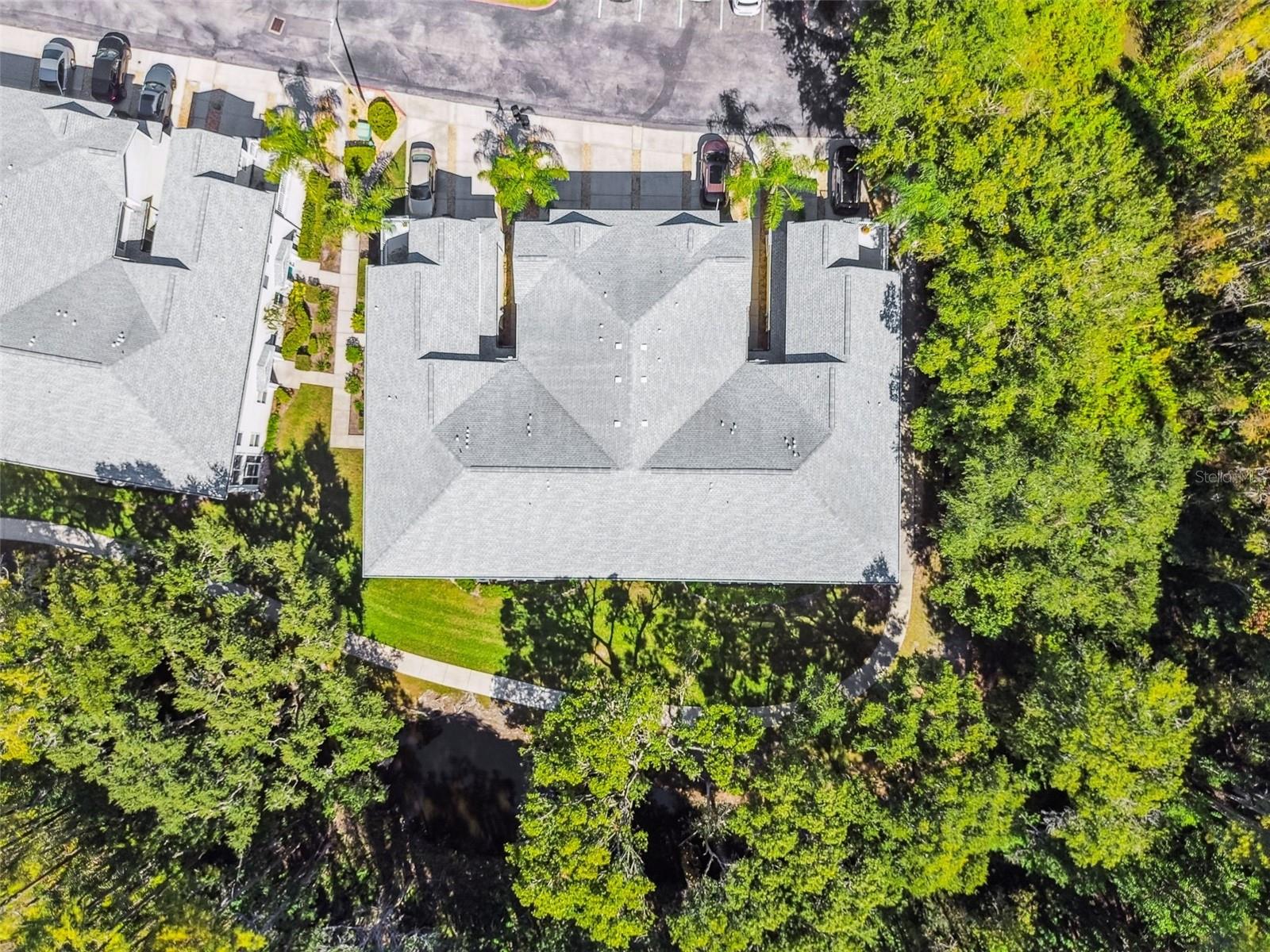 1627 HAMMOCKS AVE, LUTZ, FL, 33549