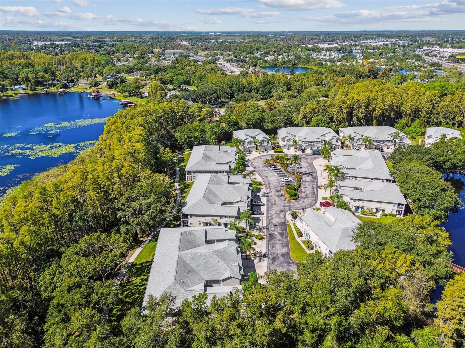 1627 HAMMOCKS AVE, LUTZ, FL, 33549