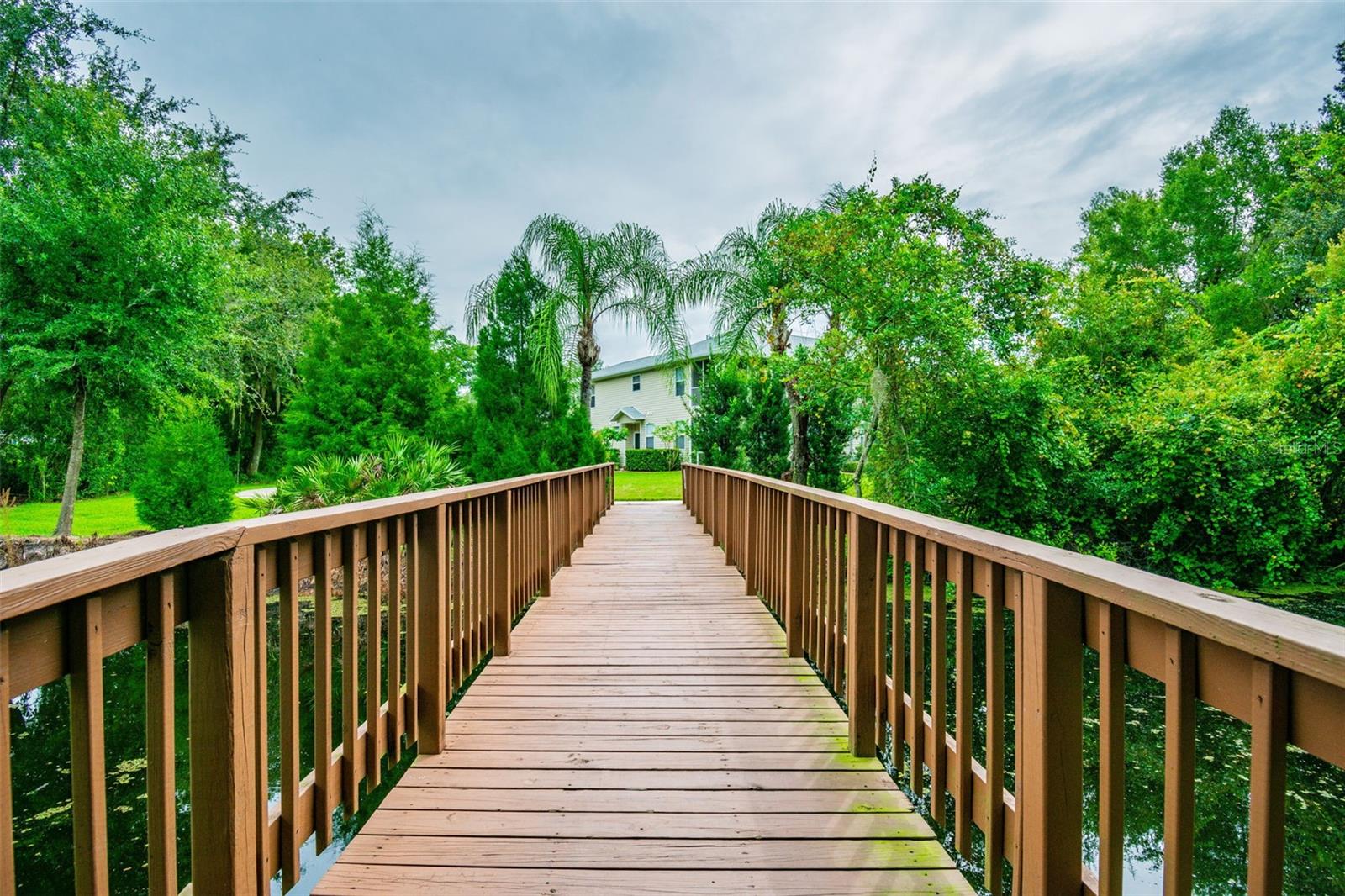 1627 HAMMOCKS AVE, LUTZ, FL, 33549