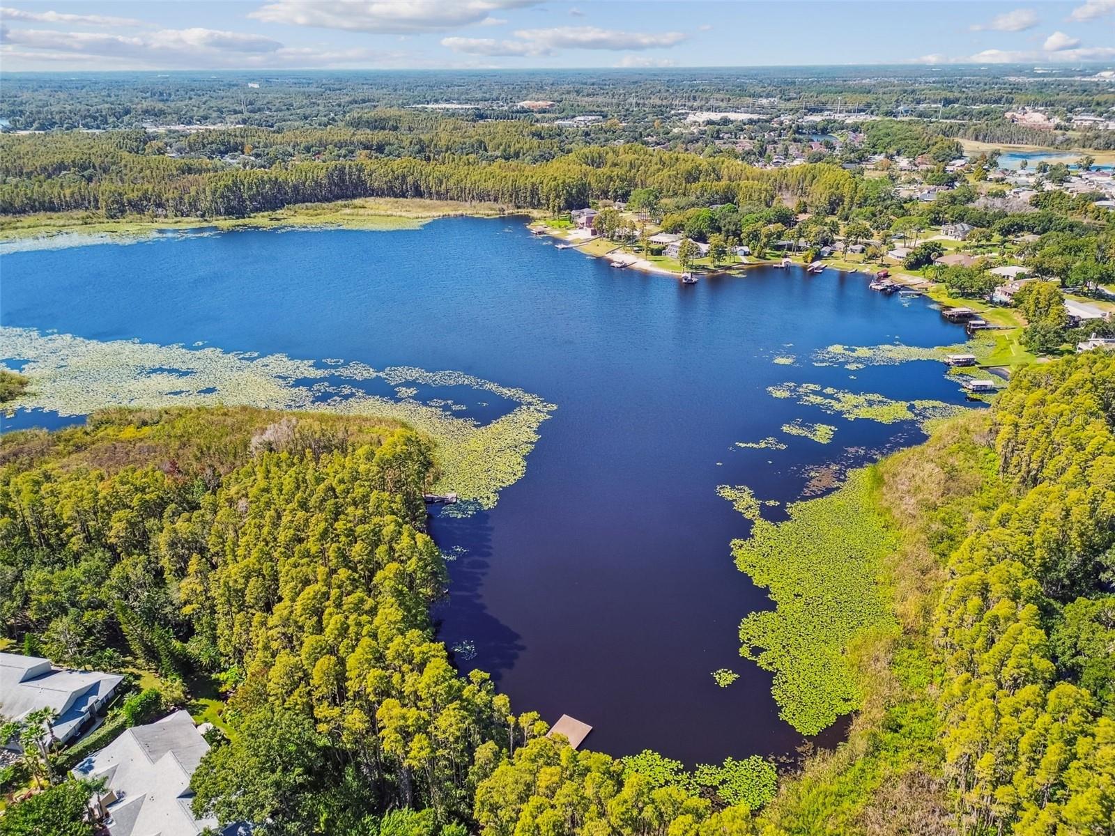 1627 HAMMOCKS AVE, LUTZ, FL, 33549