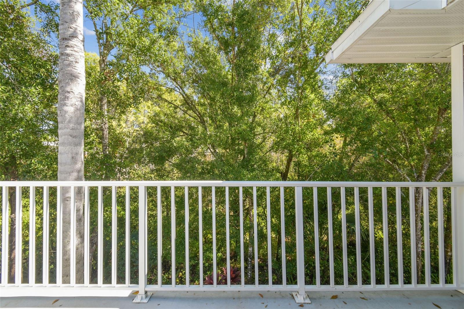 1627 HAMMOCKS AVE, LUTZ, FL, 33549