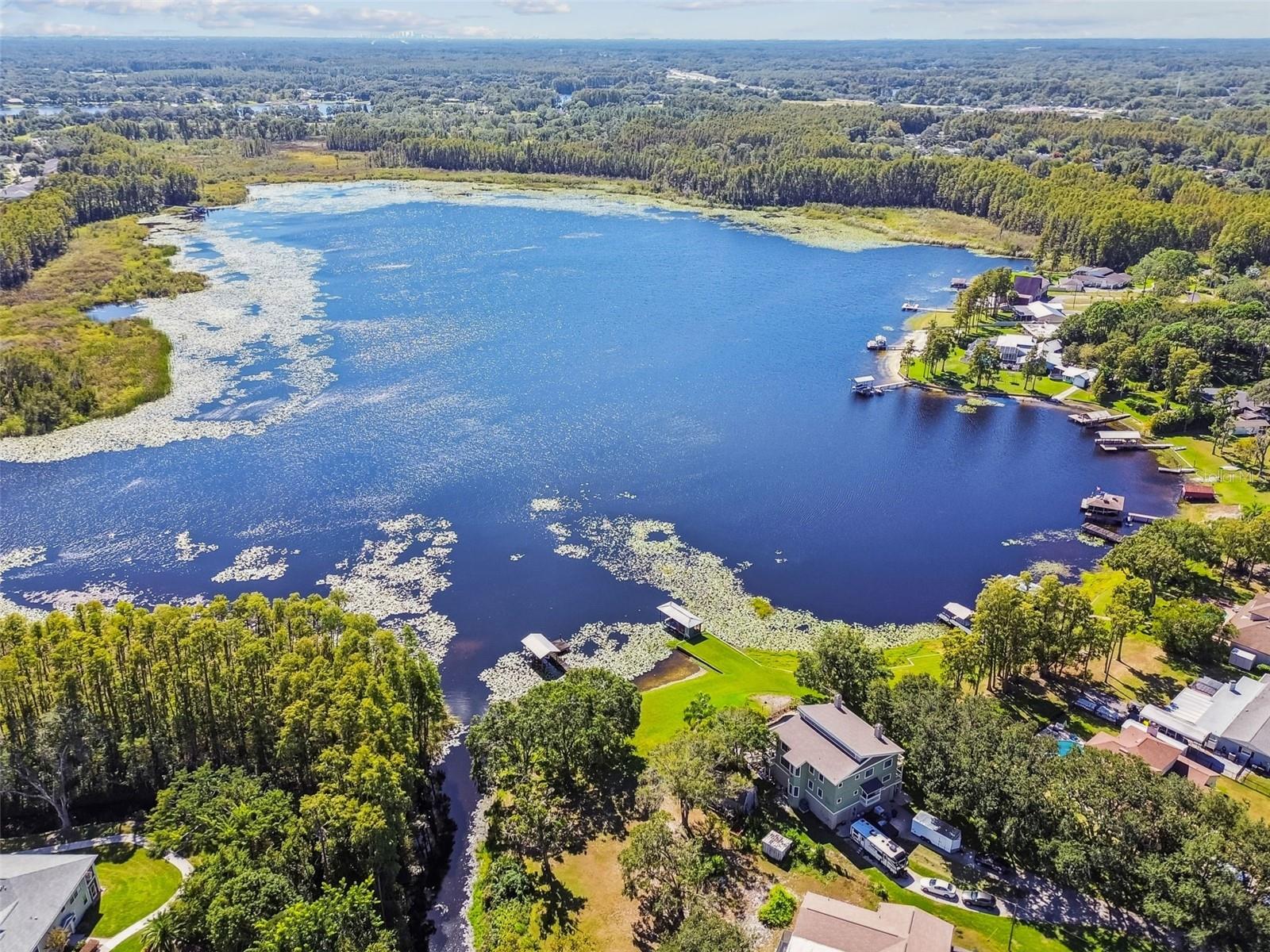 1627 HAMMOCKS AVE, LUTZ, FL, 33549