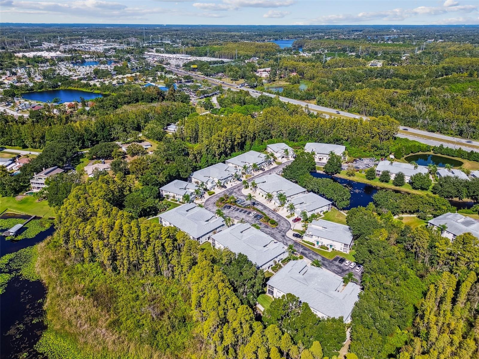 1627 HAMMOCKS AVE, LUTZ, FL, 33549