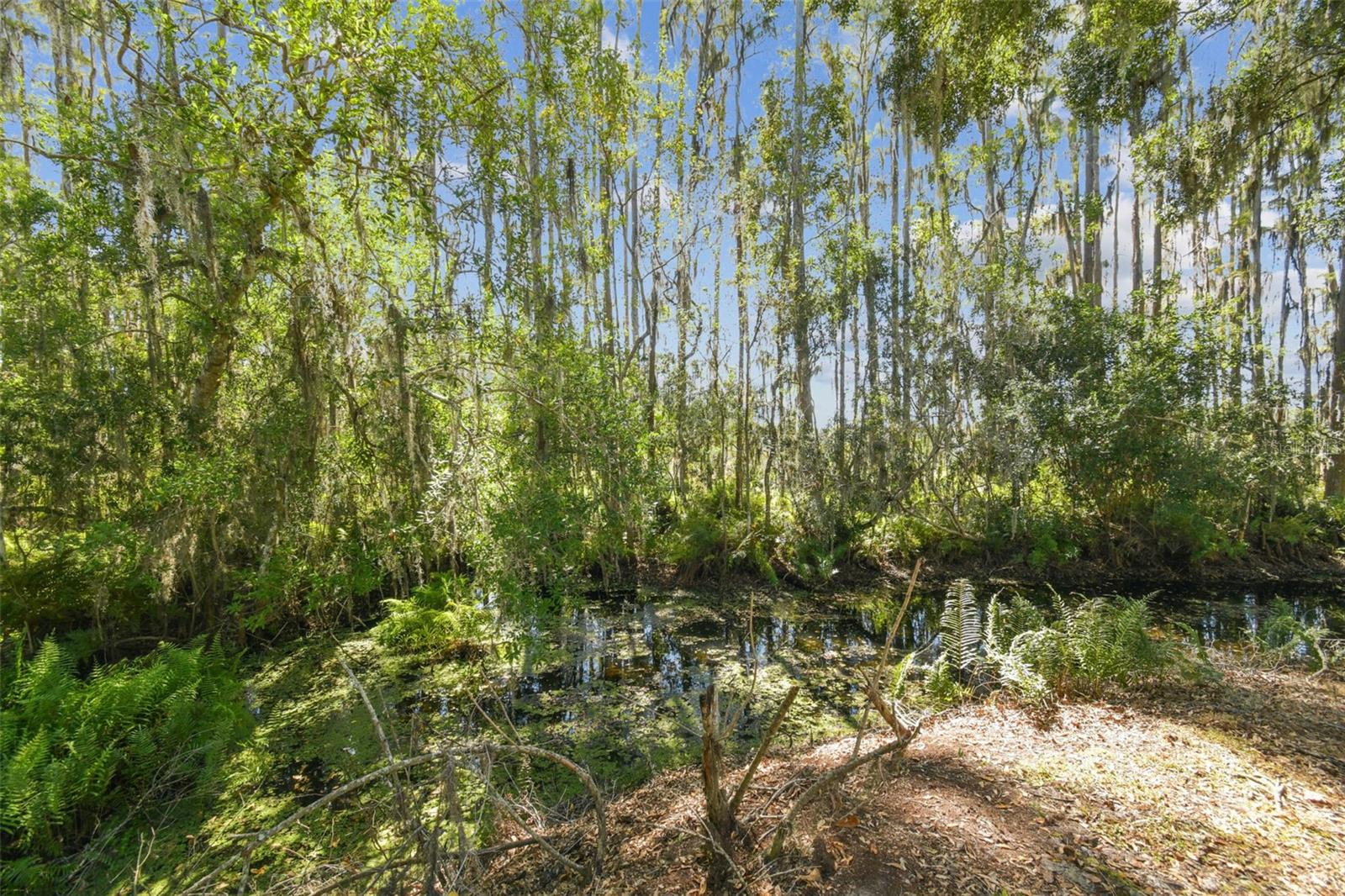 1627 HAMMOCKS AVE, LUTZ, FL, 33549