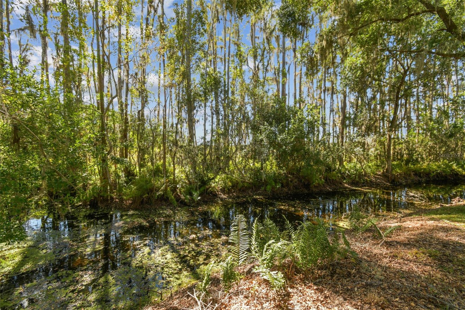 1627 HAMMOCKS AVE, LUTZ, FL, 33549