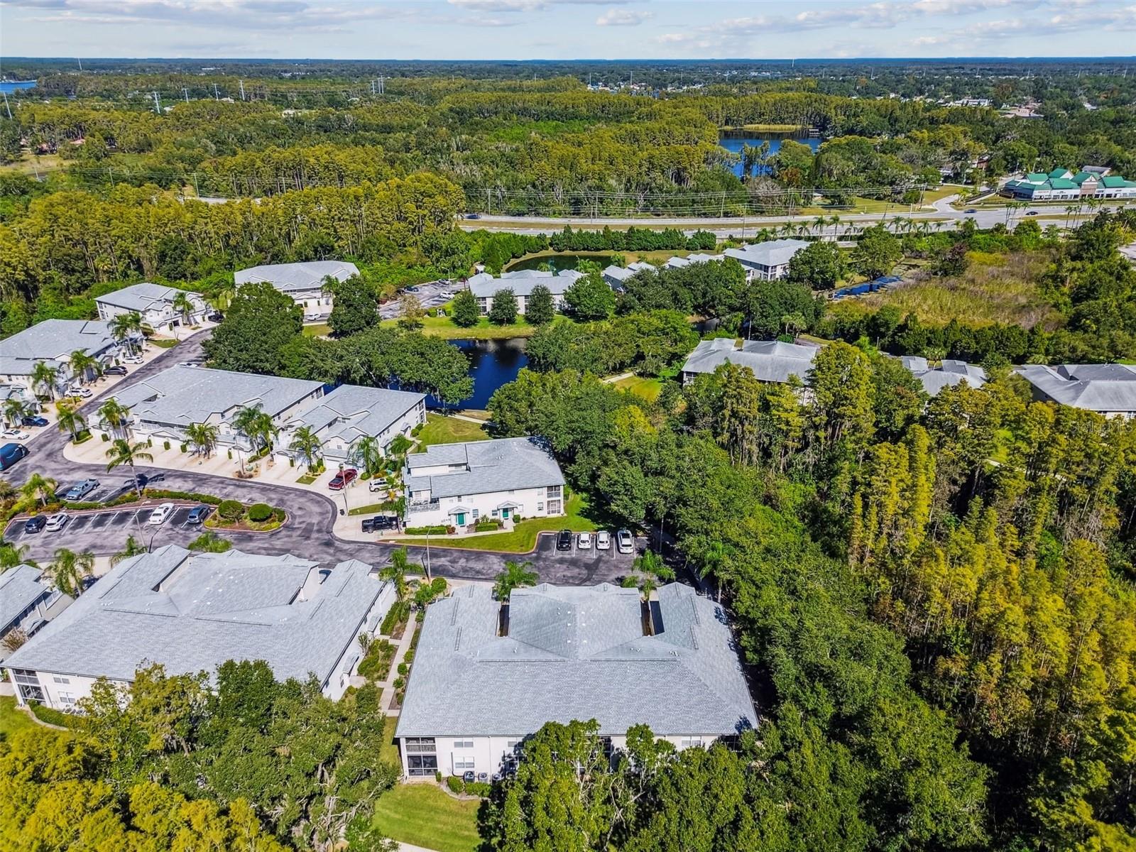 1627 HAMMOCKS AVE, LUTZ, FL, 33549