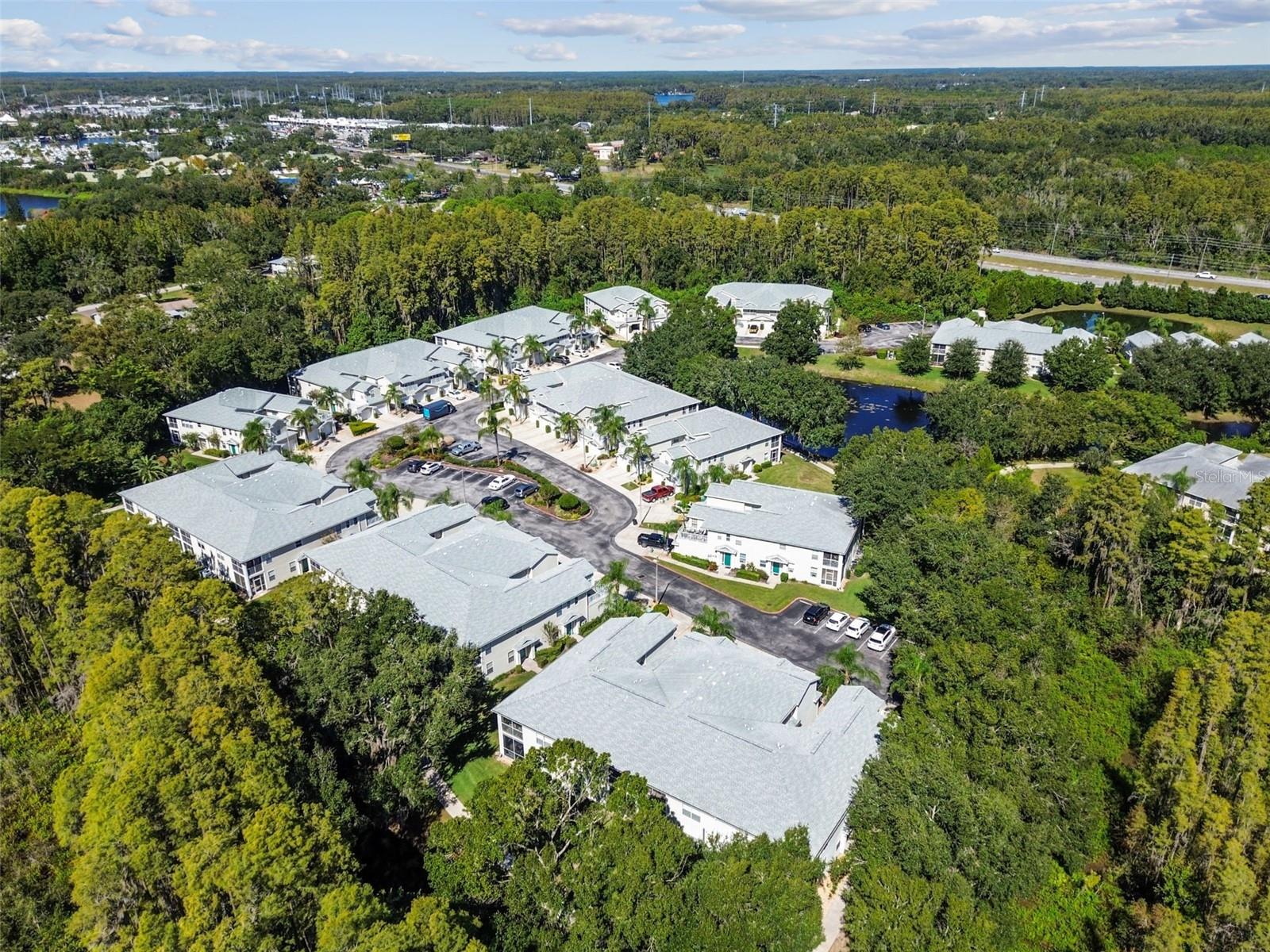 1627 HAMMOCKS AVE, LUTZ, FL, 33549