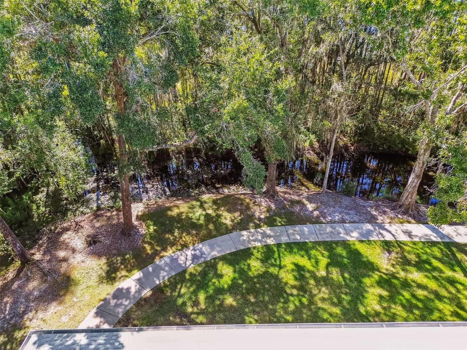 1627 HAMMOCKS AVE, LUTZ, FL, 33549