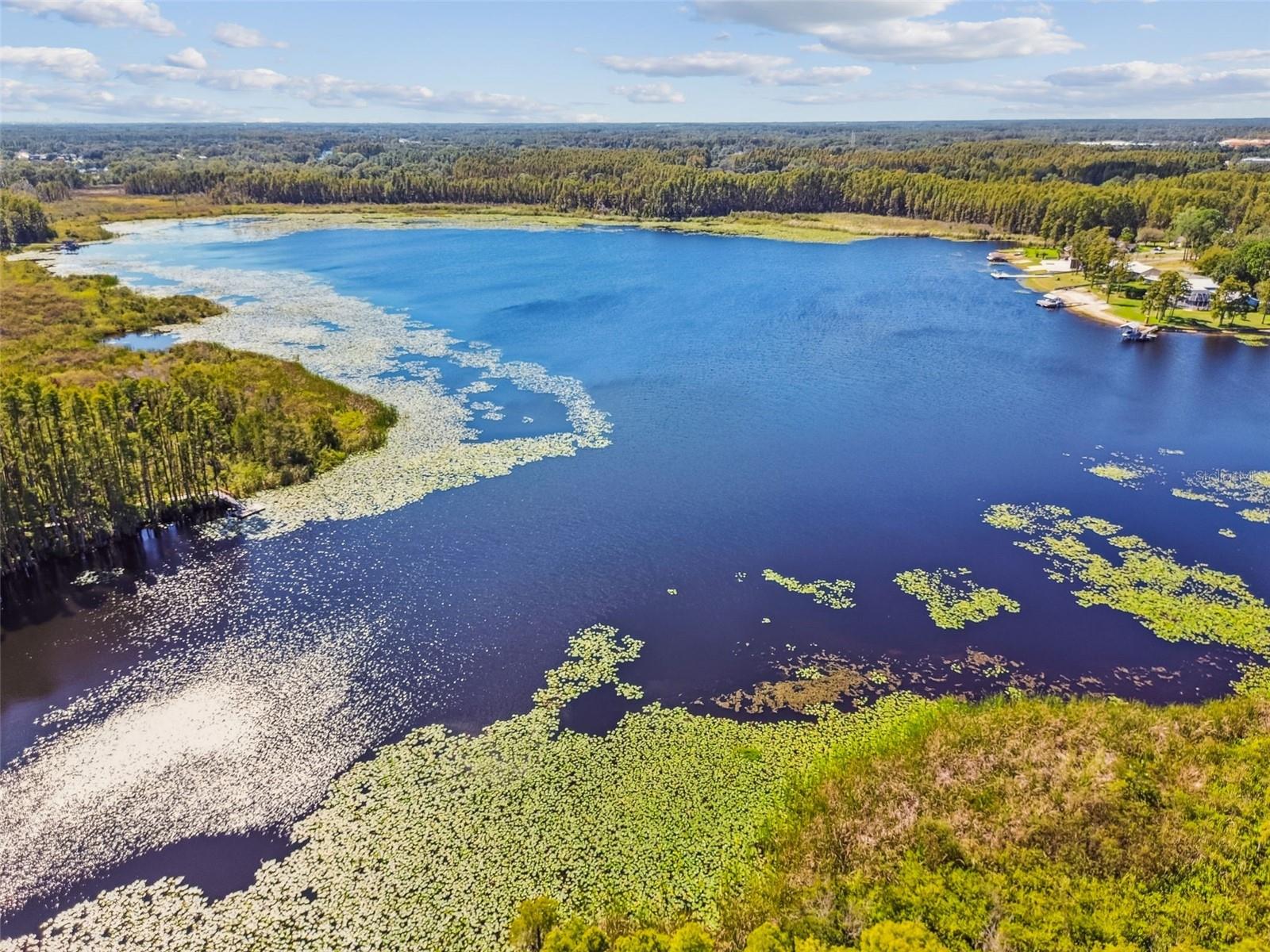 1627 HAMMOCKS AVE, LUTZ, FL, 33549