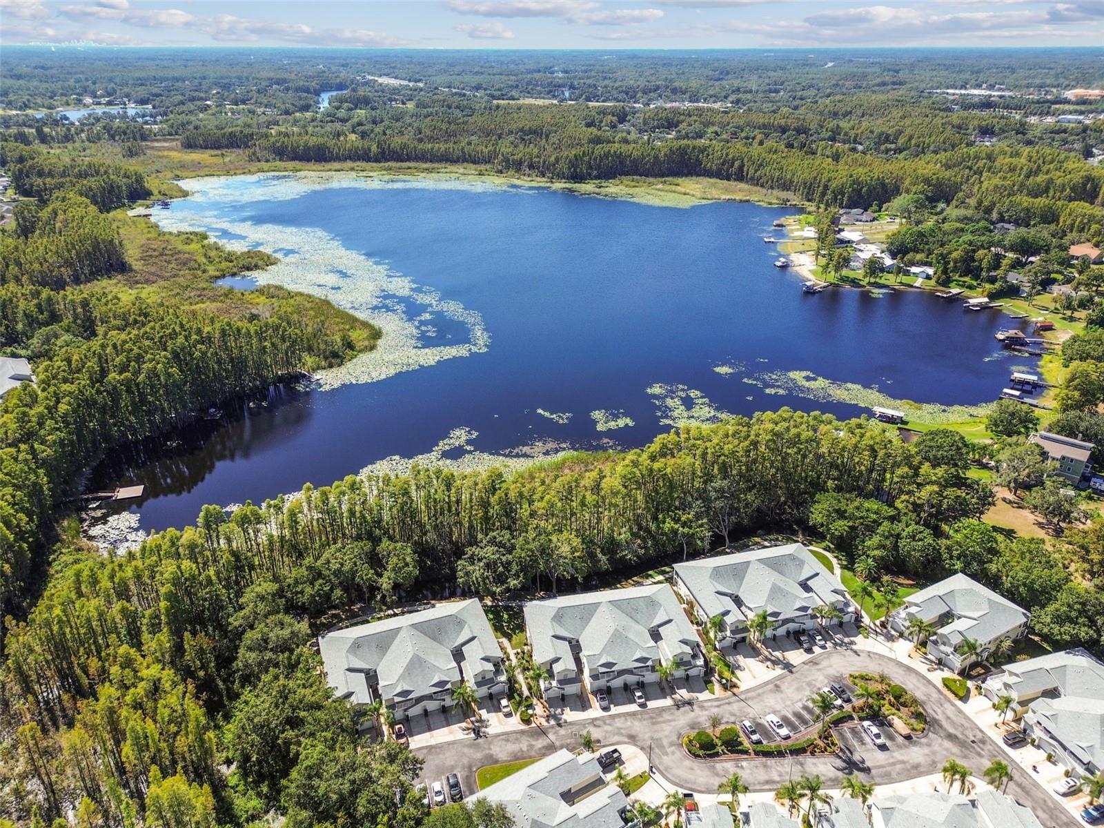 1627 HAMMOCKS AVE, LUTZ, FL, 33549