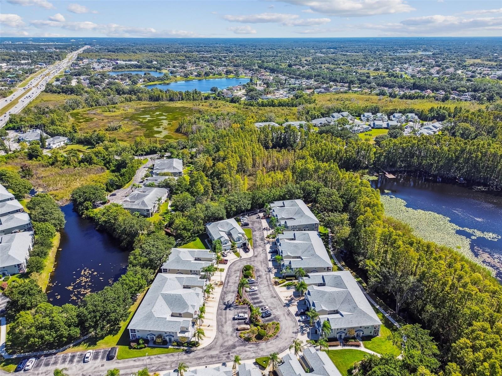 1627 HAMMOCKS AVE, LUTZ, FL, 33549