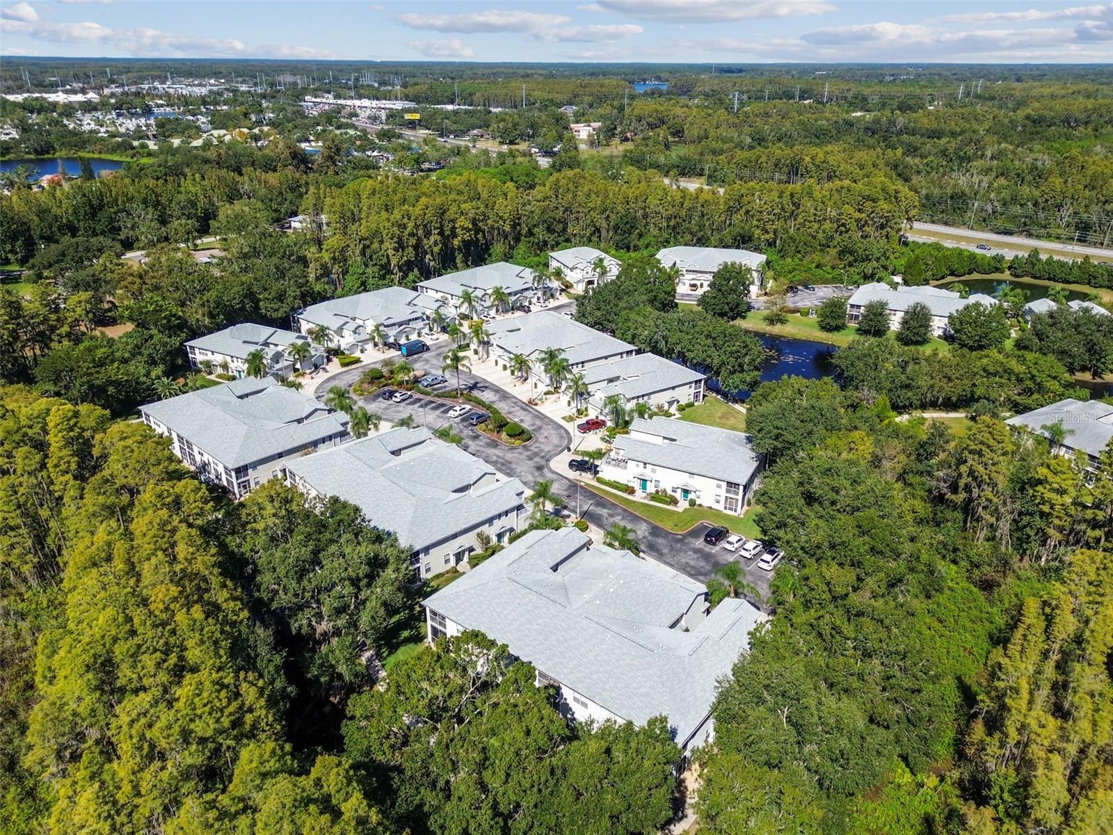 1627 HAMMOCKS AVE, LUTZ, FL, 33549