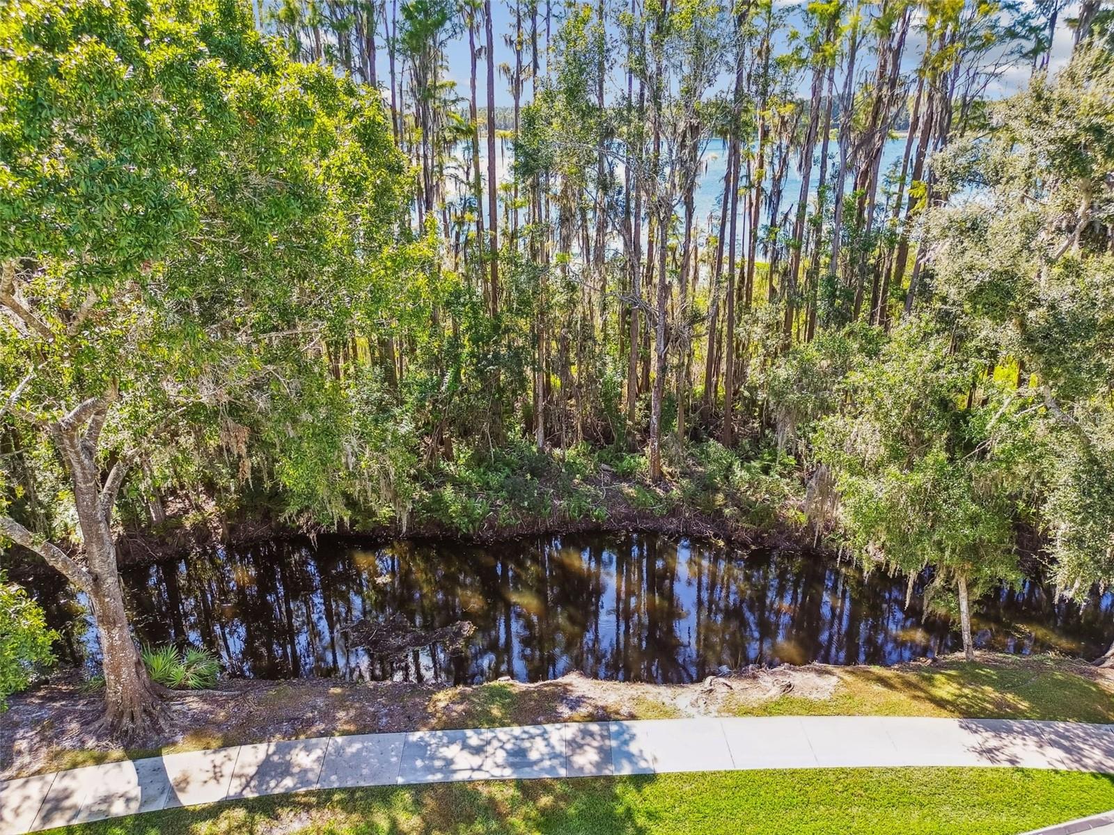 1627 HAMMOCKS AVE, LUTZ, FL, 33549