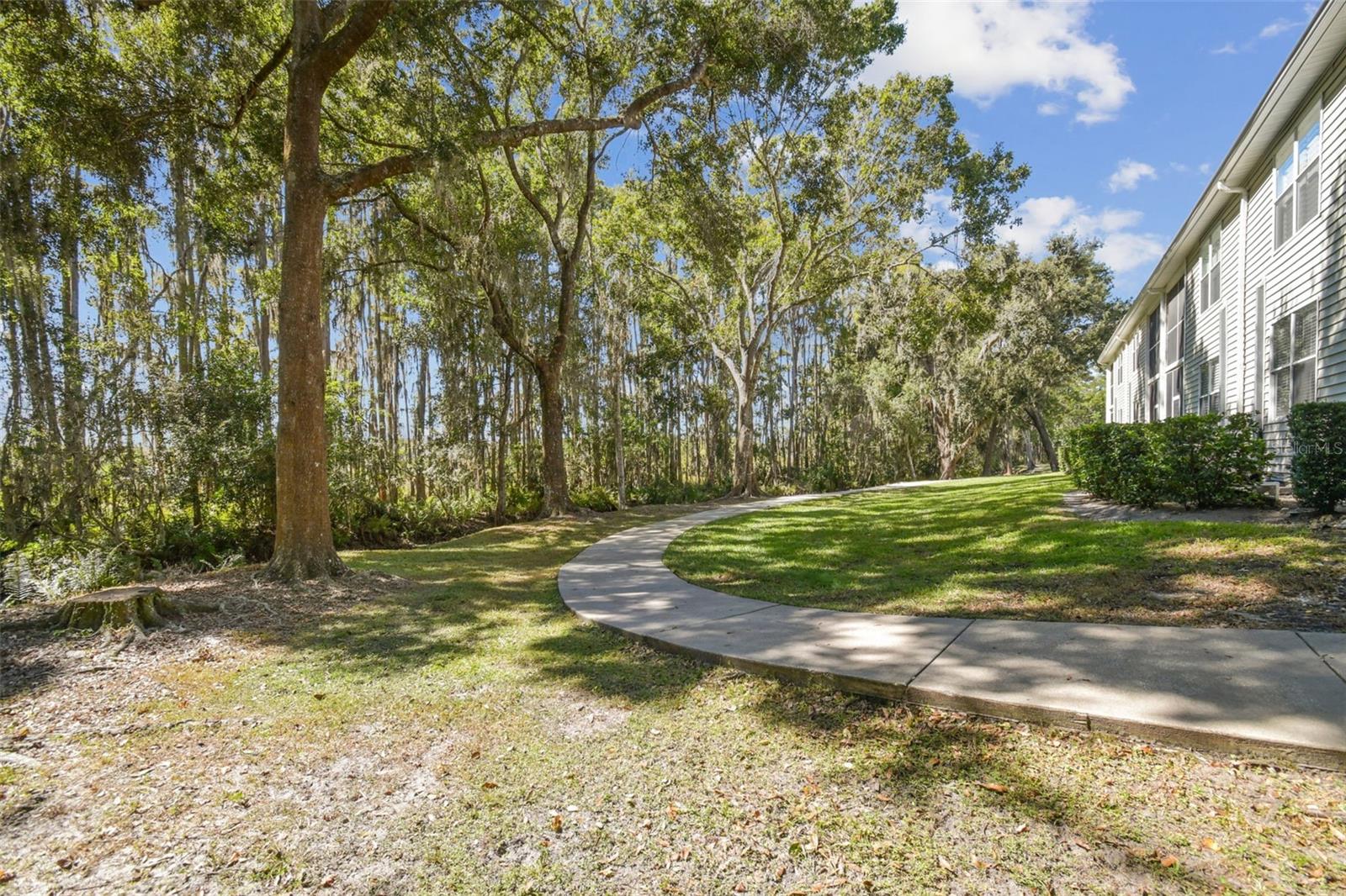 1627 HAMMOCKS AVE, LUTZ, FL, 33549