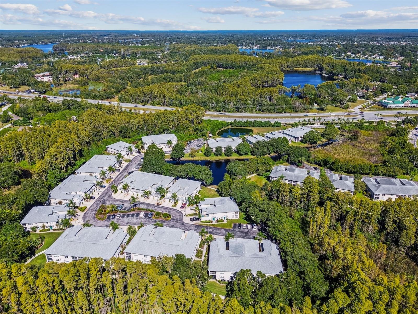 1627 HAMMOCKS AVE, LUTZ, FL, 33549