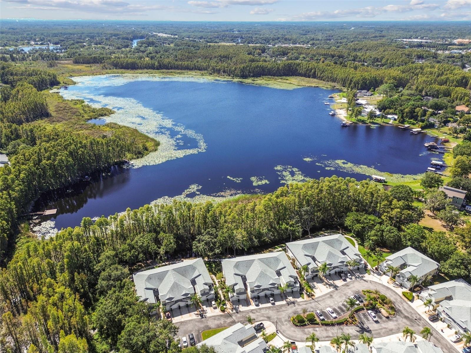 1627 HAMMOCKS AVE, LUTZ, FL, 33549