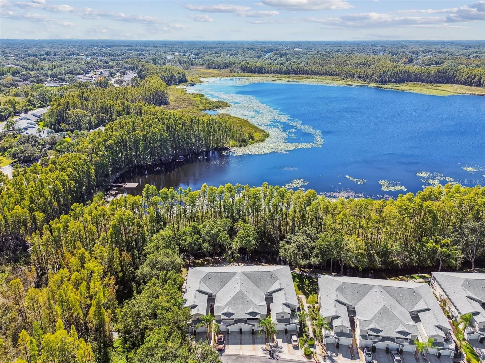 1627 HAMMOCKS AVE, LUTZ, FL, 33549