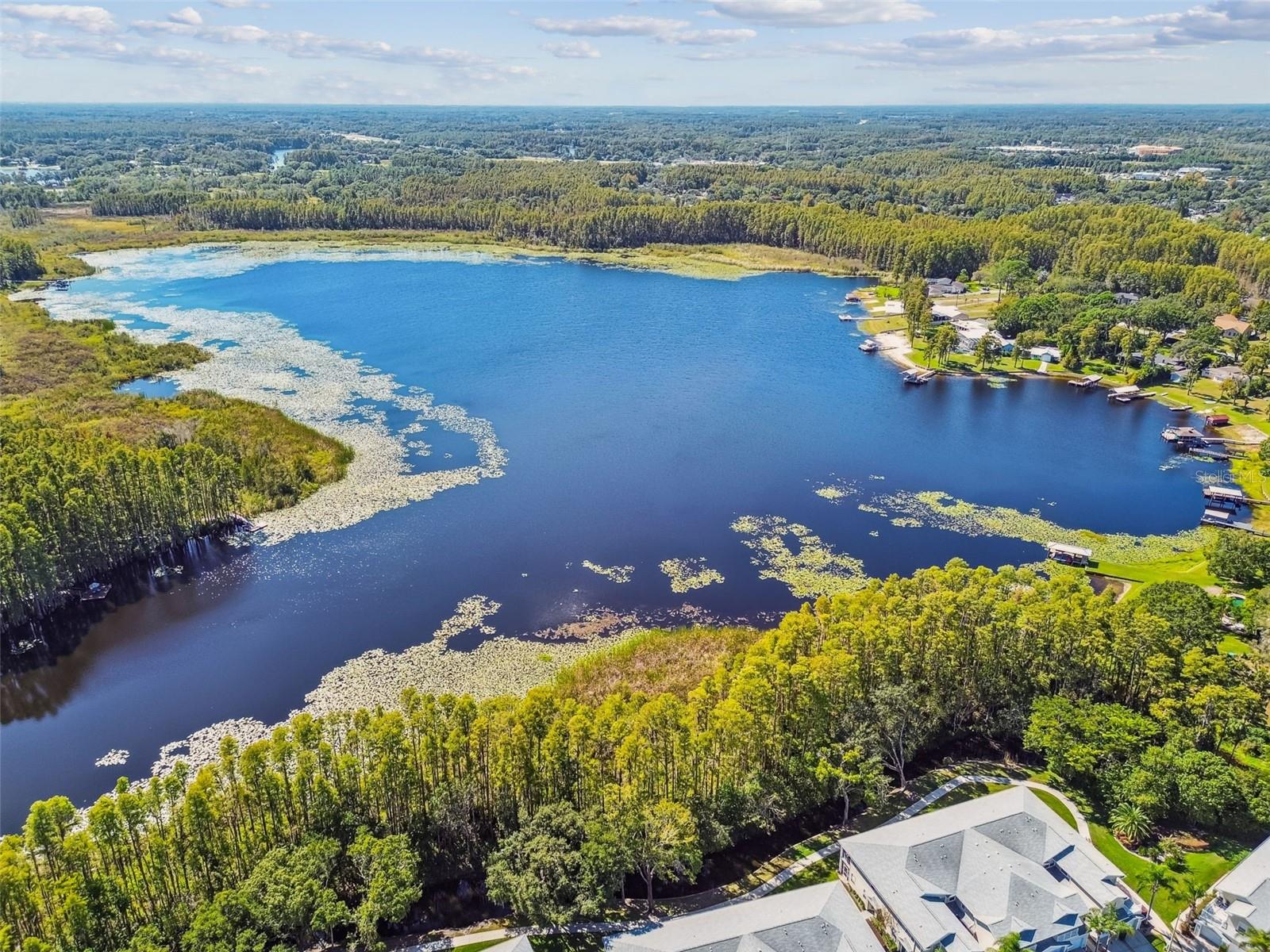 1627 HAMMOCKS AVE, LUTZ, FL, 33549